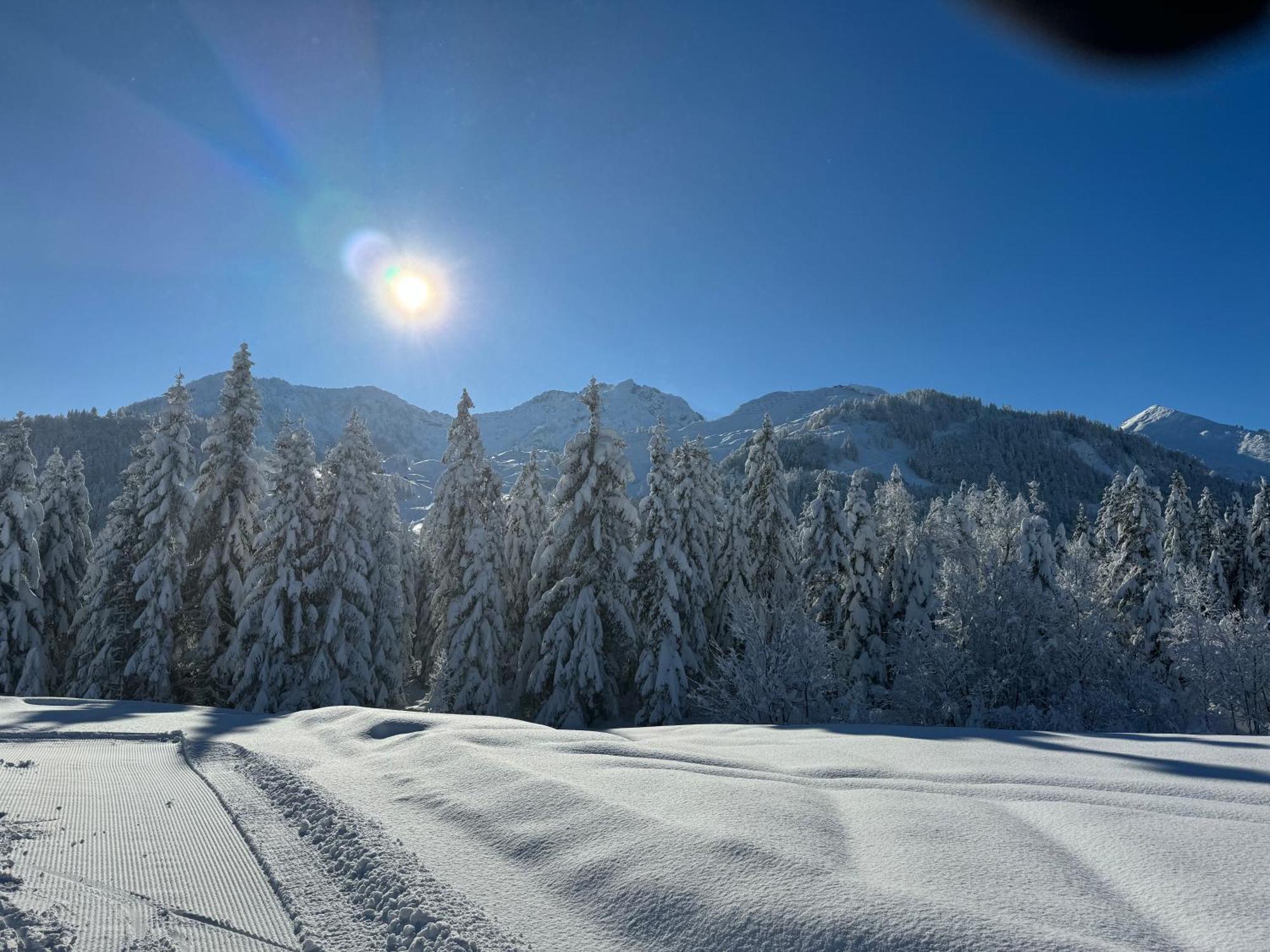 Appartement Erler Sankt Johann in Tirol Eksteriør bilde